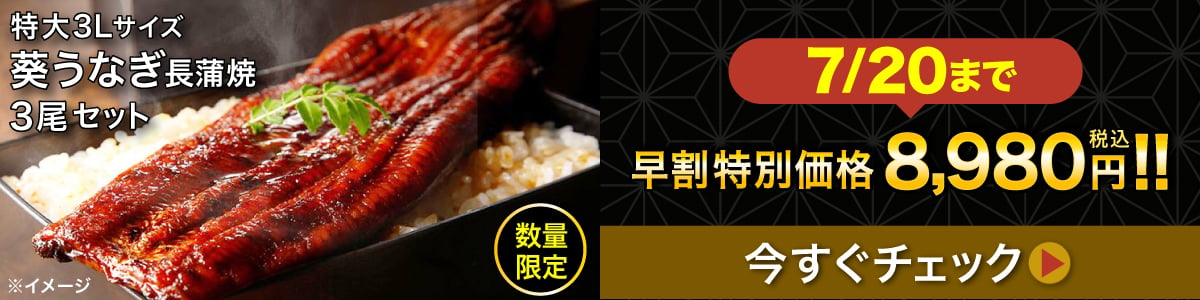 うなぎバナー