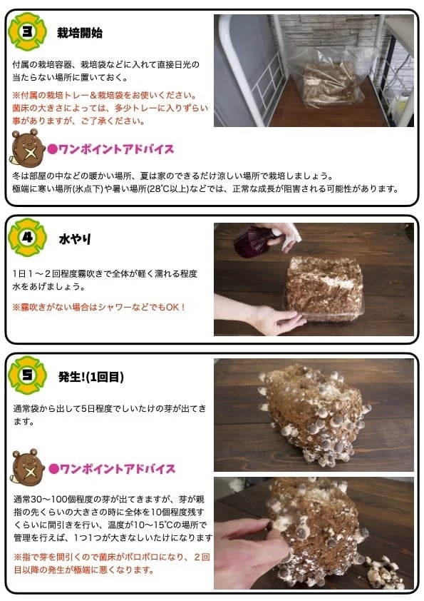 黑椎茸栽培キット詳細
