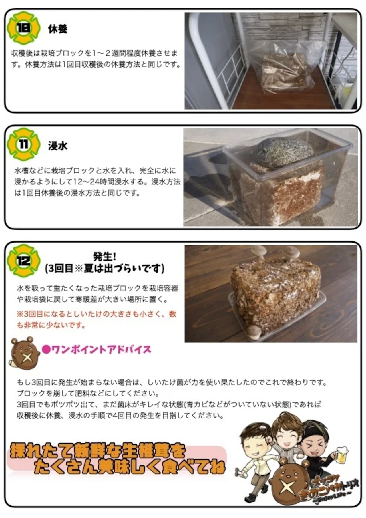 黑椎茸栽培キット詳細