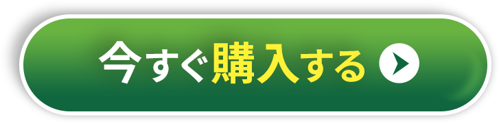 今すぐ購入する▶