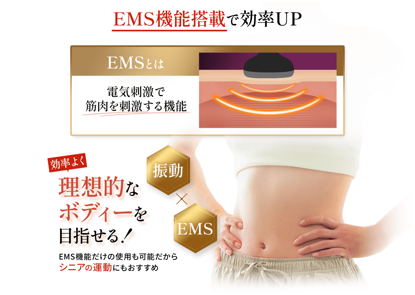 EMS機能搭載で効率アップ。EMSとは、電気刺激で筋肉を刺激する機能。効率よく理想的なボディーを目指せる。振動×EMS。EMS機能だけの使用も可能だからシニアの運動にもおすすめ。